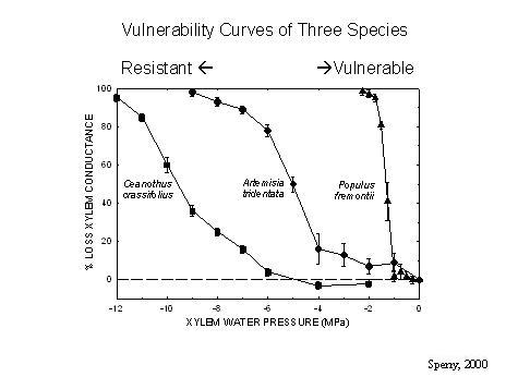 Vulnerability curves